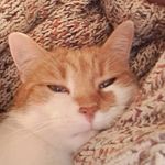 Sandra Sacchetti - @sacchettiq35 - Instagram