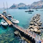 Sandra Sacchetti - @ssacchetti1 - Instagram
