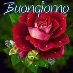 Sandra Sacchetti - @sandra.sacchetti.52 - Instagram