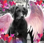 Sandra Sachse - Facebook
