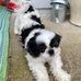 Sandra Salisbury - Facebook