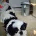 Sandra Salisbury - Facebook