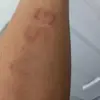 Sandra sanches - @sandra.san.ches - TikTok