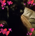 Sandra Sandberg - Facebook