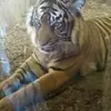 sandrasandel291 - @sandrasandel291 - TikTok