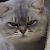 Sandra Sander - @sandra.sander - TikTok