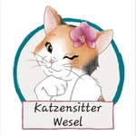 Sandra Sander - @katzensitter_wesel - Instagram