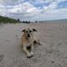 Sandra Sanft - Facebook