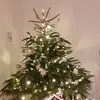Carla Genette - @sandrasantangelo1 - TikTok