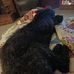 Sandra Satterwhite-Martin - Facebook