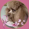 sandrasatterwhite4 - @sandra.satterwhit0 - TikTok