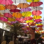 Sandra Sauer Glovacki - @sandrasauerg - Instagram