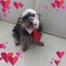 Sandra Sauter - Facebook