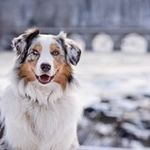 Sandra Sauter - @sandra.sauter - Instagram