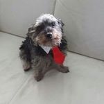 Sandra Sauter - @sandra.sauter.73 - Instagram
