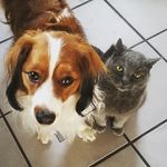 Sandra Sauter - @sandrasauter78 - Instagram