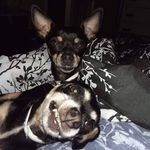 Sandra Lee Plowman Saxton - @sandralee4141 - Instagram