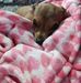 Sandra Saxton - Facebook