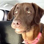 Sandra Schade - @mommaschade - Instagram