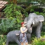 Sandra Schade - @schade.sandra - Instagram