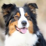 Sandra Schade - @schade453 - Instagram