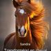 Sandra Schade - Facebook