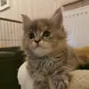 Sandra Scheer789 - @sascherade - TikTok