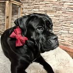 Sandra Scheer - @scheer.700 - Instagram