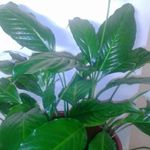 Sandra Schill - @sandra_schill_2000 - Instagram