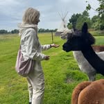 Sandra Schiller - @sandra.schiller13 - Instagram