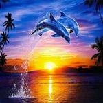 Sandra Schilling - @sandra.schilling.7547 - Instagram