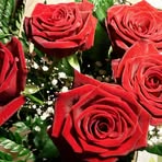 Sandra Schilling - Facebook