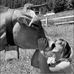 Sandra Schnell - Facebook