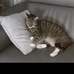 Sandra Schnell - @gonzis_schnell - Instagram