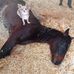 Sandra Schnell - Facebook