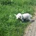 Sandra Schreck - Facebook