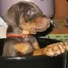 Sandra Schreckenberger - @sandra.schreckenb - TikTok