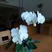 Sandra Schuler - Facebook