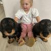 Sandra Schuler - @sandraschuler01 - TikTok