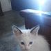 Sandra Schumm - Facebook