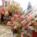 Sandra Regina Schweder - Facebook