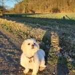 Sandra Schwedes - @sandraschwedes - Instagram