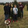 sandraseabrook331 - @sandraseabrook331 - TikTok