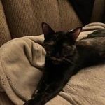 Sandra searles - @searles4836 - Instagram