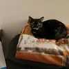 sandy - @sandrasearles5 - TikTok