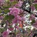 Sandra Seaton - Facebook