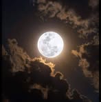 Sandra Sedgwick - Facebook