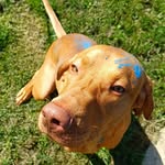 Sandra Bunge-Seger - @bungeseger - Instagram