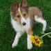 Sandra Seger - Facebook