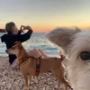 Sandra Haibach-Seipel - @sandra.haibachsei - TikTok
